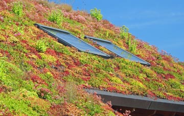 Cotherstone living roof systems